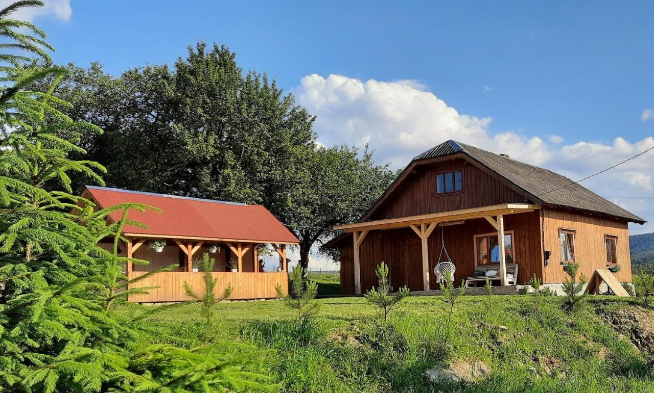 Омріяні Карпати Villa Smozhe ภายนอก รูปภาพ